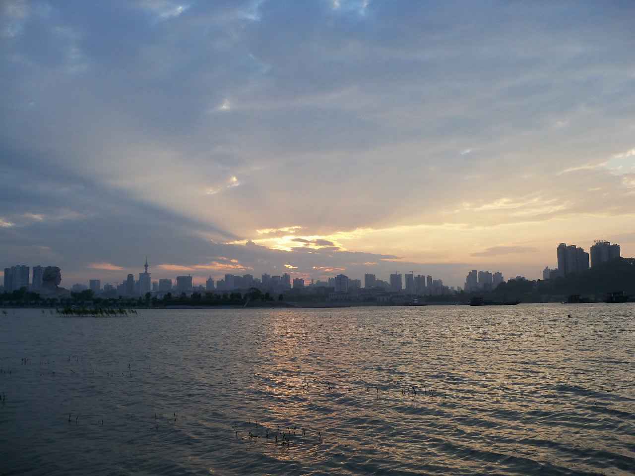 100_1021.JPG