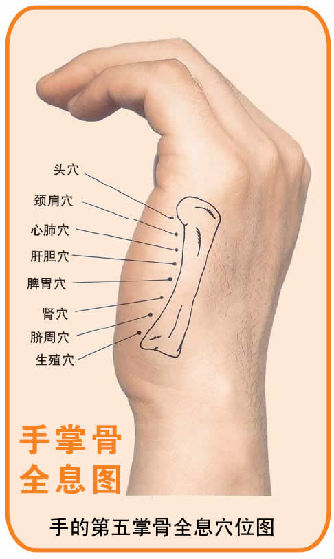 反射图－手－手的第五掌骨全息穴位图.jpg