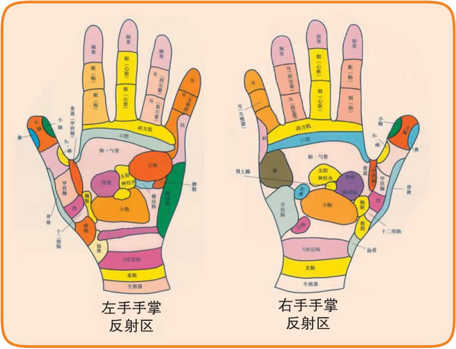 反射图－手－双手手掌全息图－01.jpg