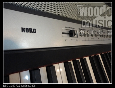 KORG SP250 3.JPG