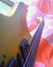 IMG0234A.jpg