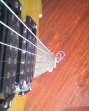 IMG0235A.jpg