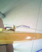 IMG0246A.jpg