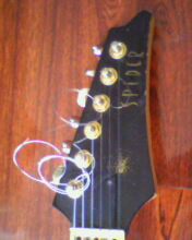 IMG0232A.jpg