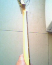 IMG0243A.jpg