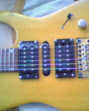 IMG0237A.jpg