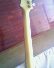 IMG0240A.jpg