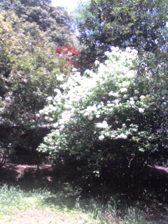 moto_0095.jpg