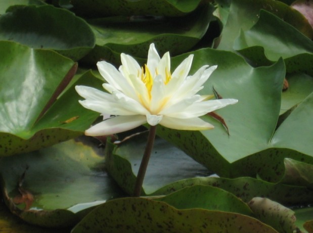 睡3.jpg
