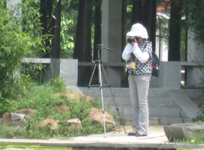 01.jpg