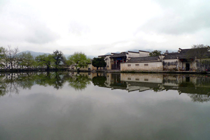 P1060067.jpg