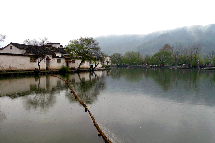P1050975.jpg