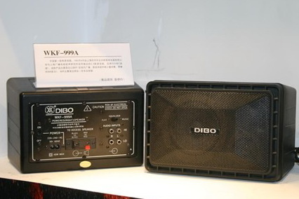DIBO 999.jpg