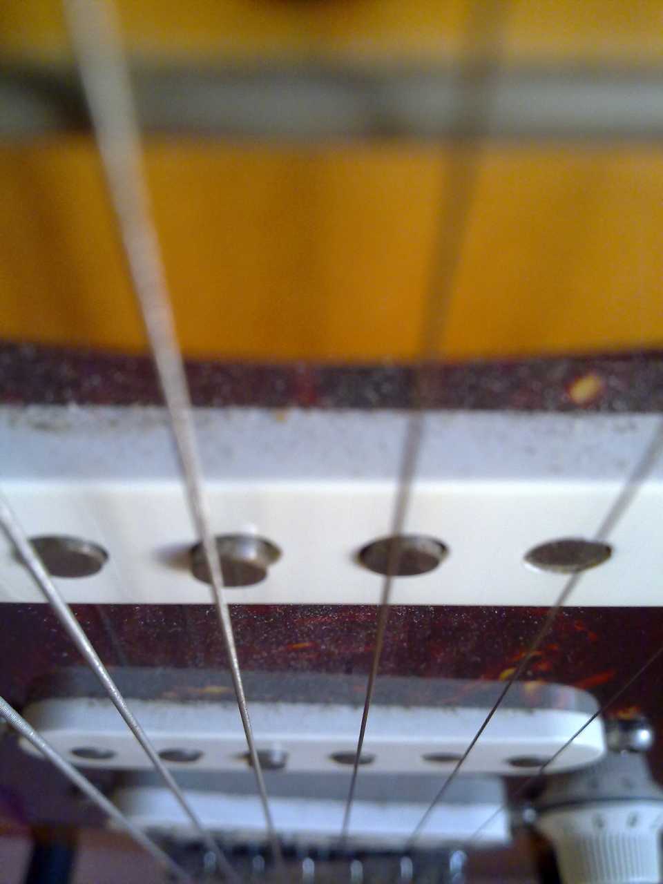 20100817785.jpg
