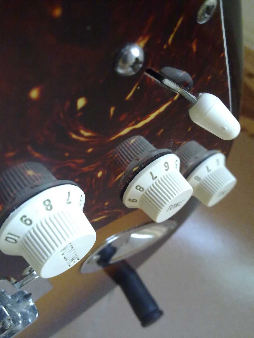 20100817787.jpg
