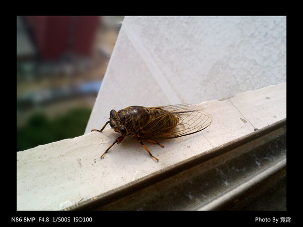 201008243688.jpg