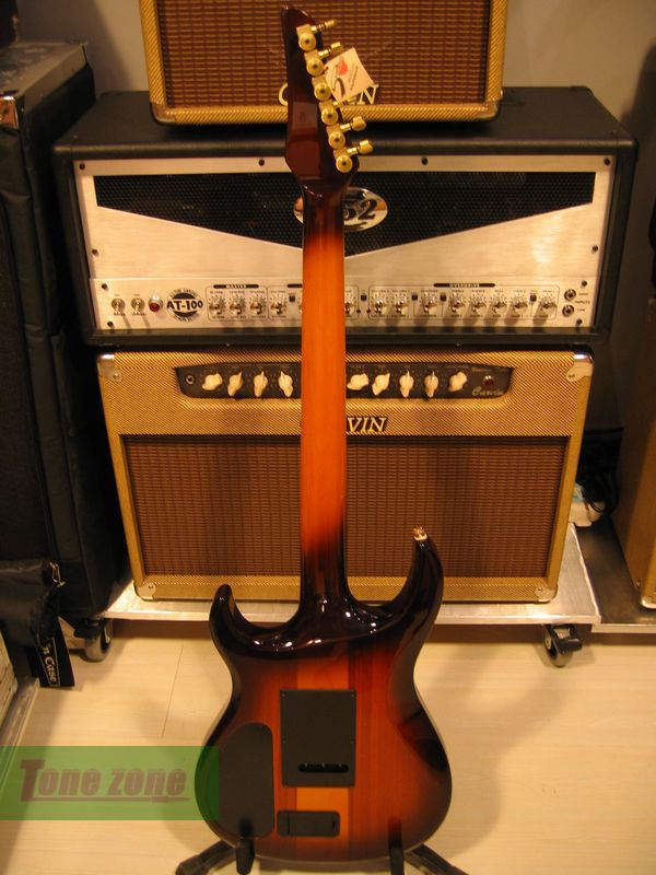 CARVIN DC127 CUSTOM 背面.JPG