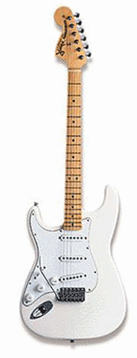 hendrixtributestrat.gif