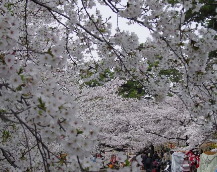 未命名.jpg