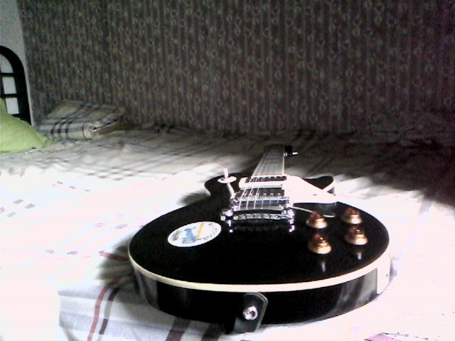 Snapshot_20100905_2.jpg