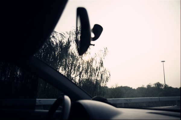 20100905_10.jpg