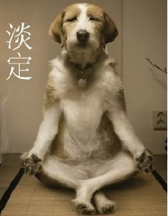蛋定.jpg