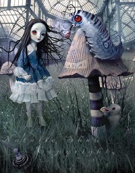 美女与野兽.jpg