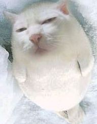 未命名.jpg