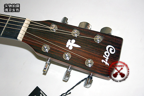 Cort Earth70E