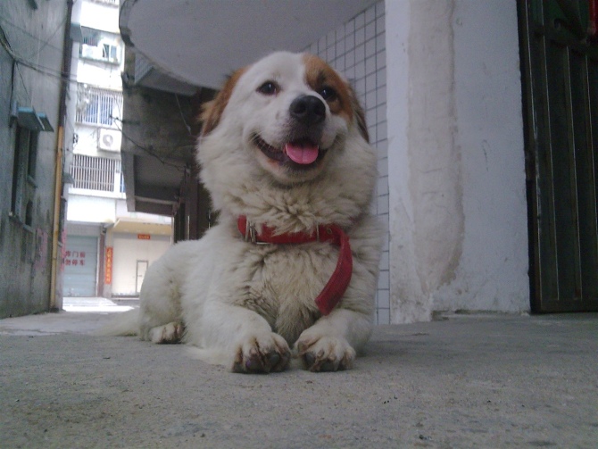 圣达菲.jpg