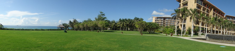 DSC02447.jpg
