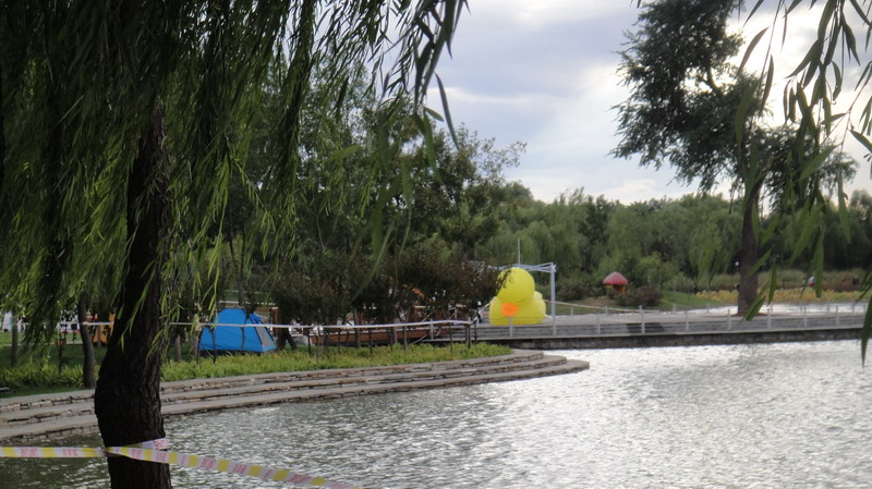 DSC02427.JPG