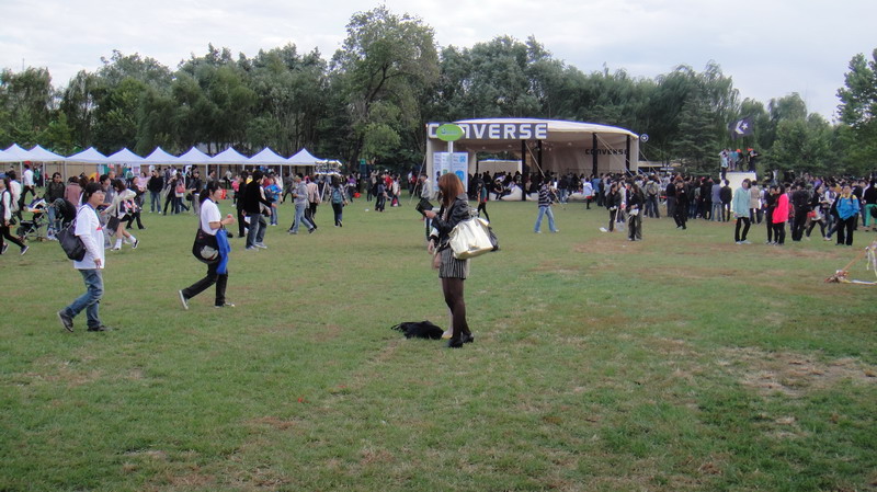 DSC02420.JPG