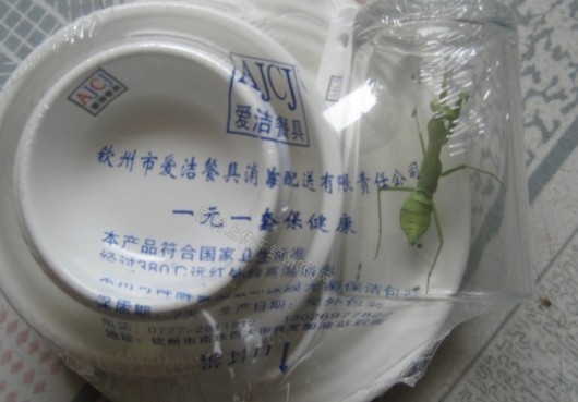 未命名标杆.jpg