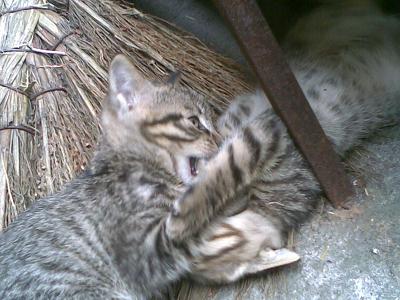 20080613(001).JPG