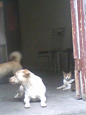 20080702.JPG