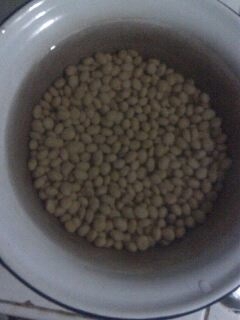 刚净黄豆.JPG