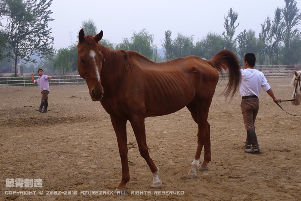 P1010444.JPG