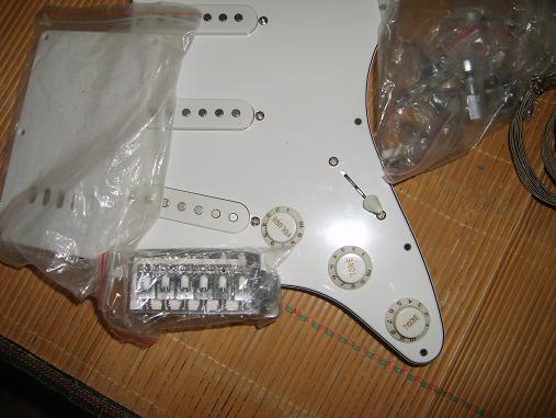 S6003328.JPG