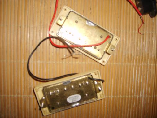 S6003309.JPG