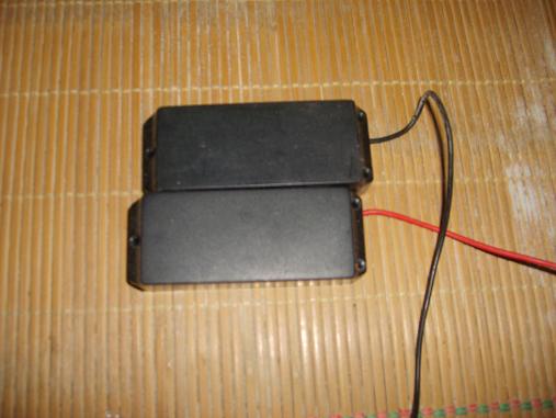 S6003296.JPG