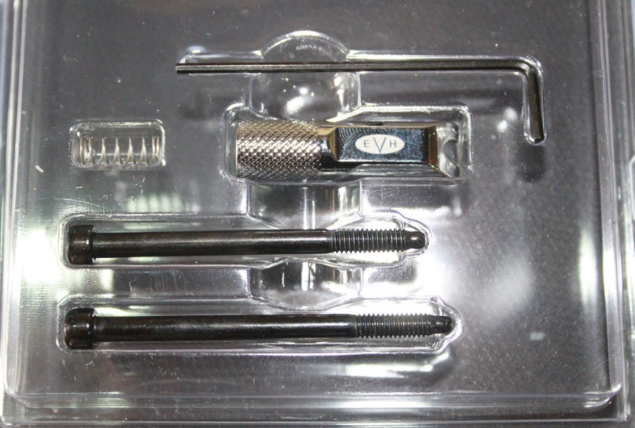 EVH D-TUAN 3.jpg