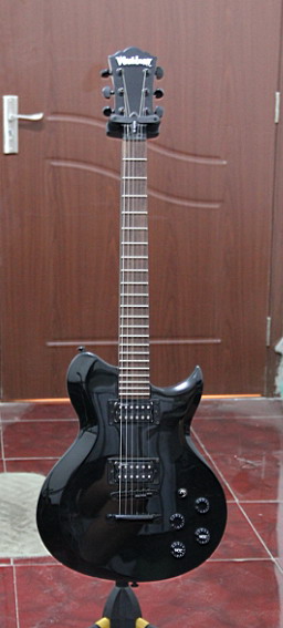 Washburn wi65pro