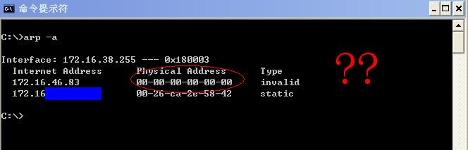 arp2.JPG