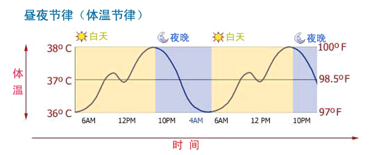 Img273446421.gif