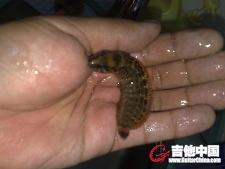 20101103835.jpg