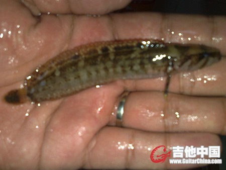 20101103833.jpg