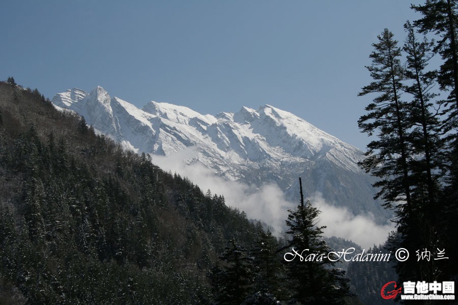 IMG_9118.jpg