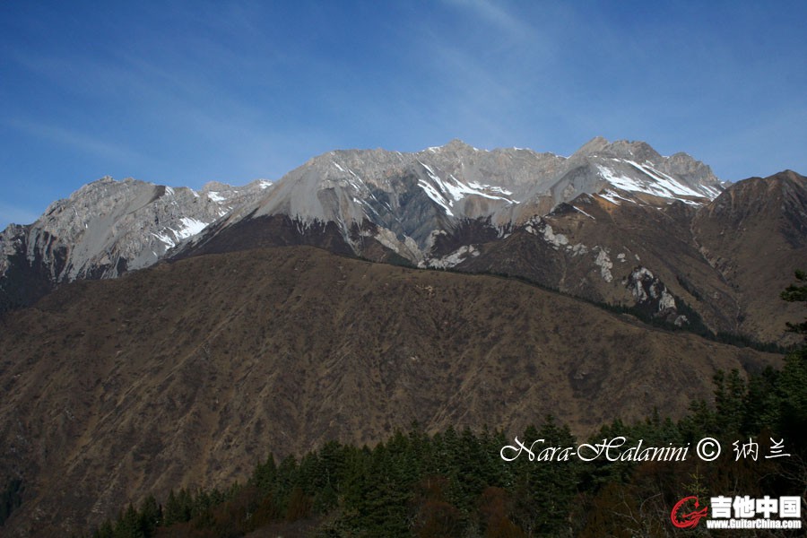IMG_9345.jpg