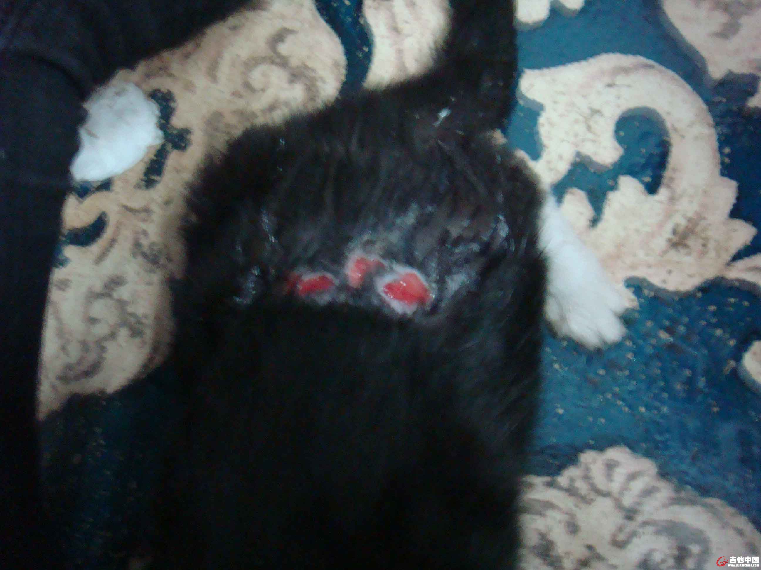DSC00012.jpg
